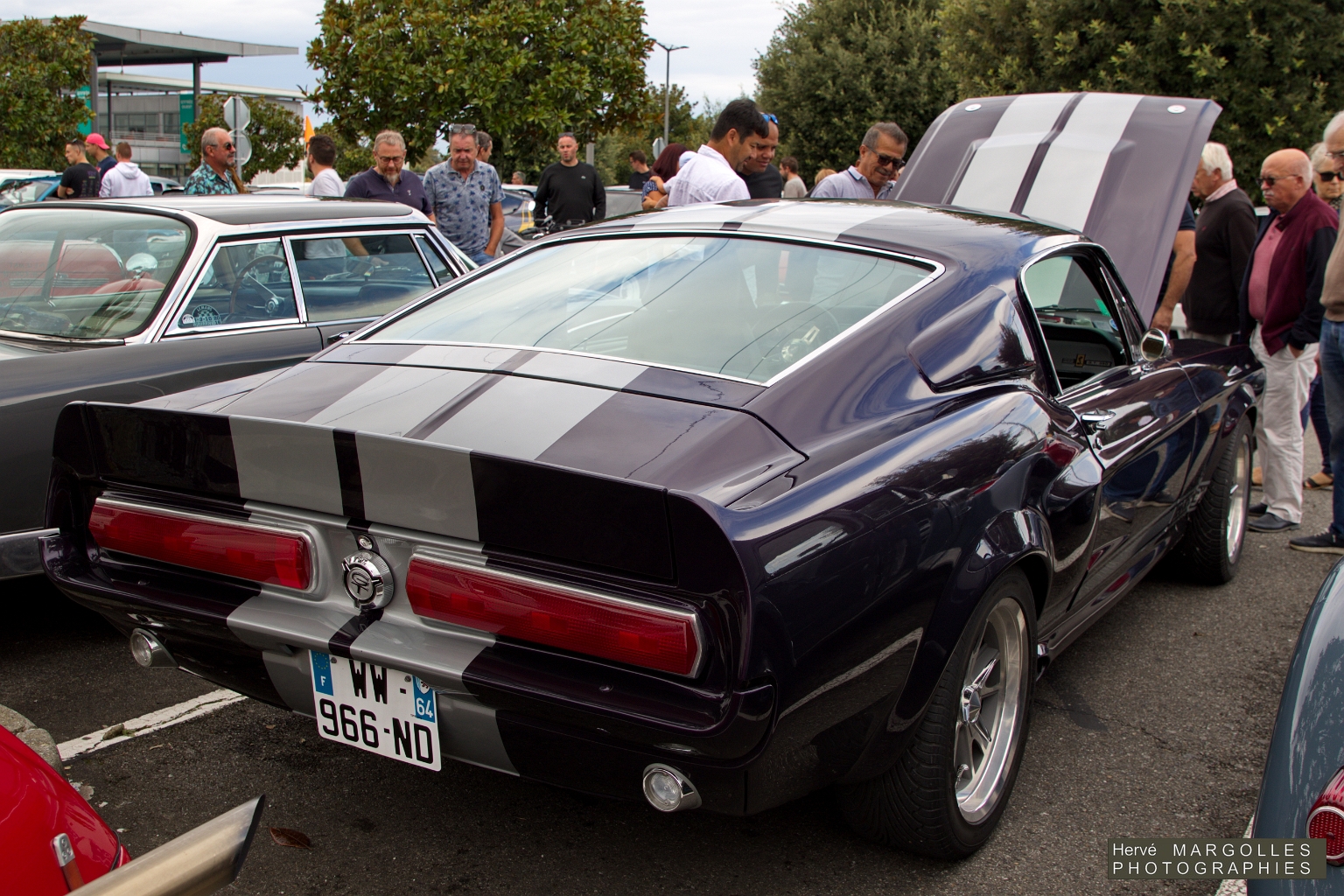 Ford Mustang Cobra 350 Shelby_05.jpg